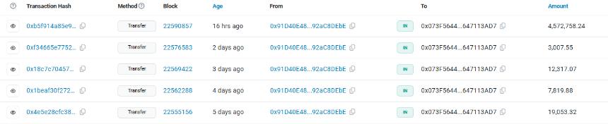  柴犬：鲸鱼大显身手，一次性吃掉4,572,758块骨头 
