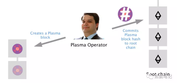 什么是Plasma?Plasma Cash?