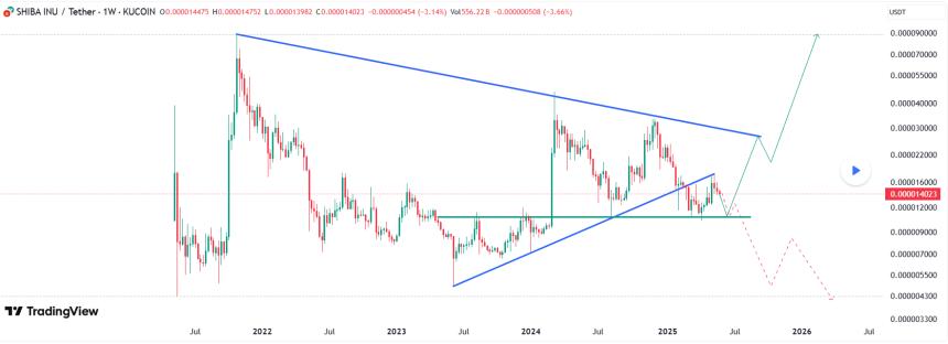  分析师确定柴犬价格的两种可能走势：哪一种会占上风？ 