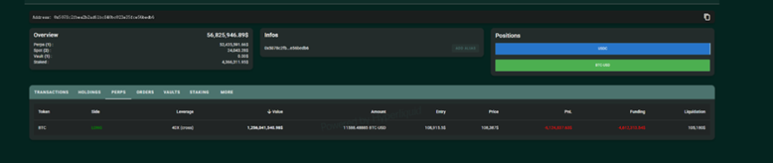 从贫民窟到加密巨鲸:James Wynn的12亿美元豪赌与跌宕人生