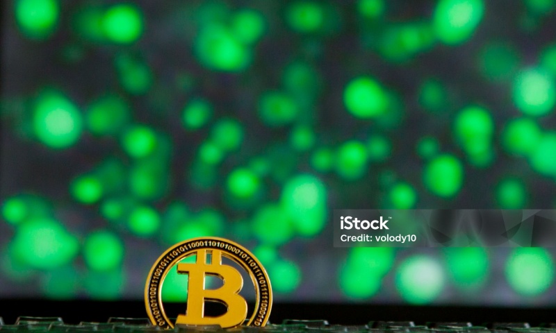 DOSE币发行价格是多少？历史价格与数据分析