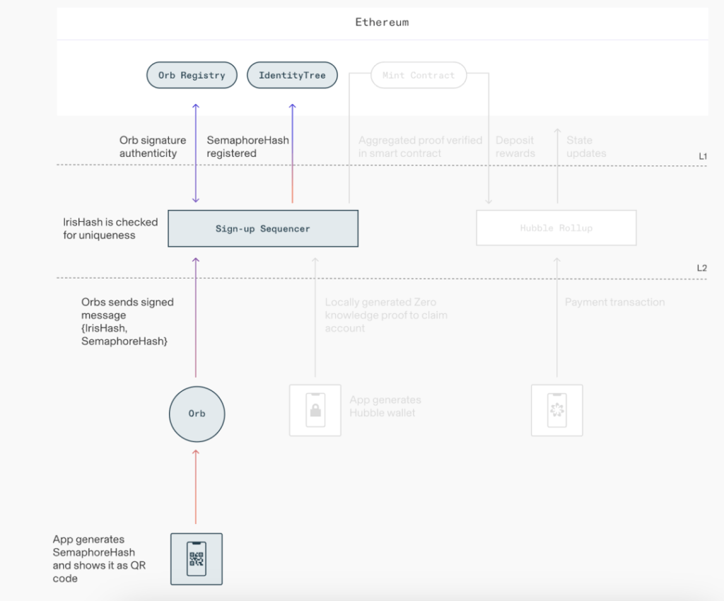 Worldcoin世界币是什么？有何潜力？如何获得免费WLD币空投？