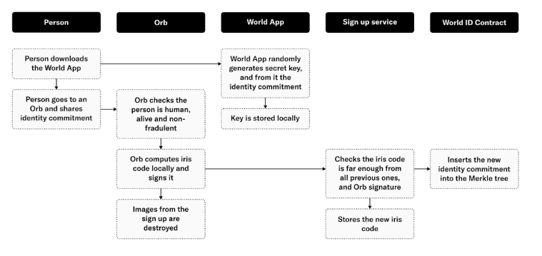 Worldcoin世界币是什么？有何潜力？如何获得免费WLD币空投？