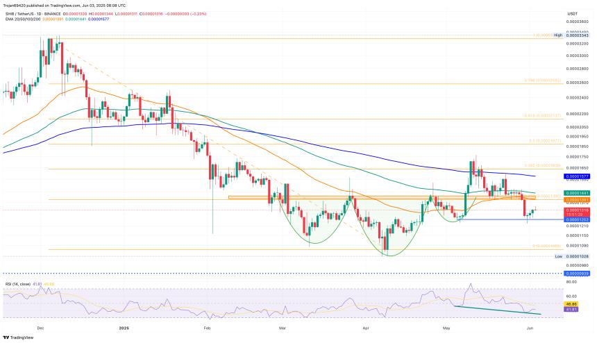 柴犬价格有望反弹：烧钱率激增与空头清算飙升点燃市场乐观情绪