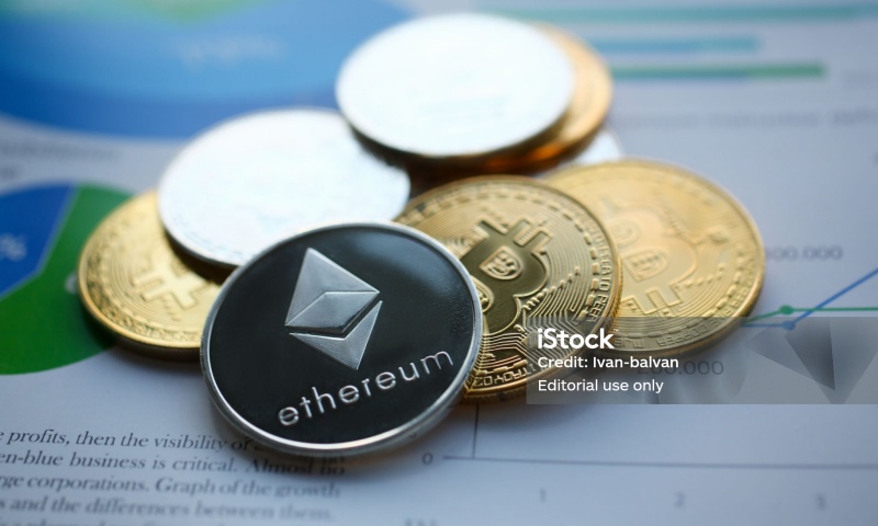 HOGE是什么币种？一文了解HOGE币的未来前景